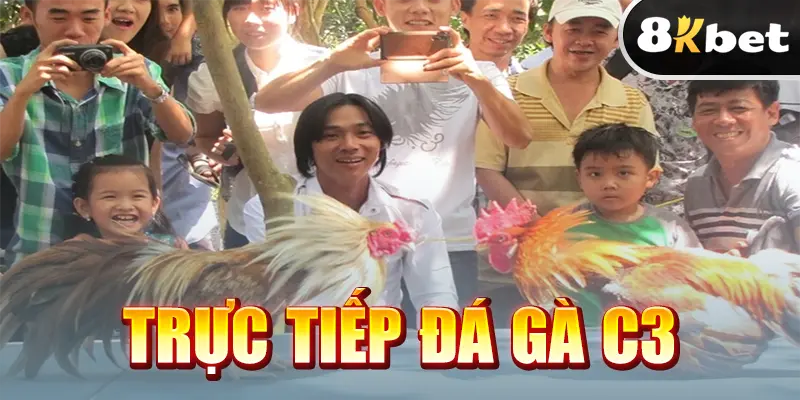 Trực Tiếp Đá Gà C3