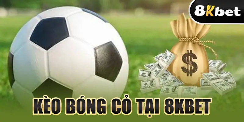 Bóng Cỏ