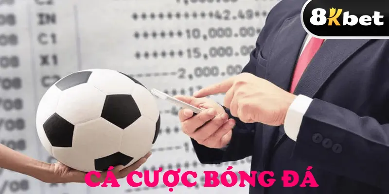 Giới thiệu cá cược bóng đá