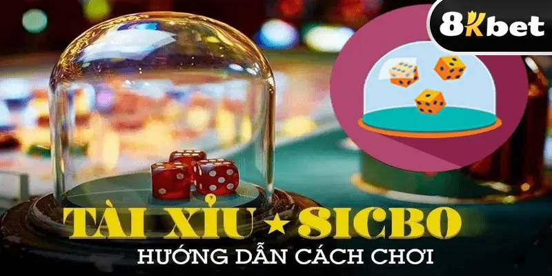 Chi tiết về cách chơi tài xỉu